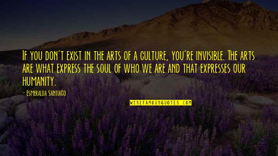 The Arts And Culture Quotes By Esmeralda Santiago: If you don't exist in the arts of