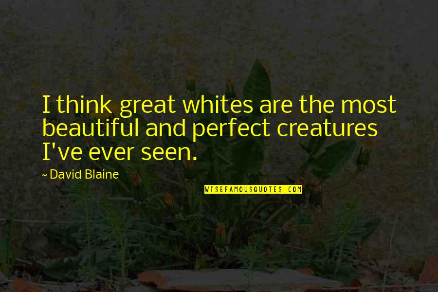 The Beautiful Creatures Quotes By David Blaine: I think great whites are the most beautiful