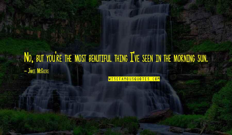 The Beautiful Morning Quotes By Jamie McGuire: No, but you're the most beautiful thing I've