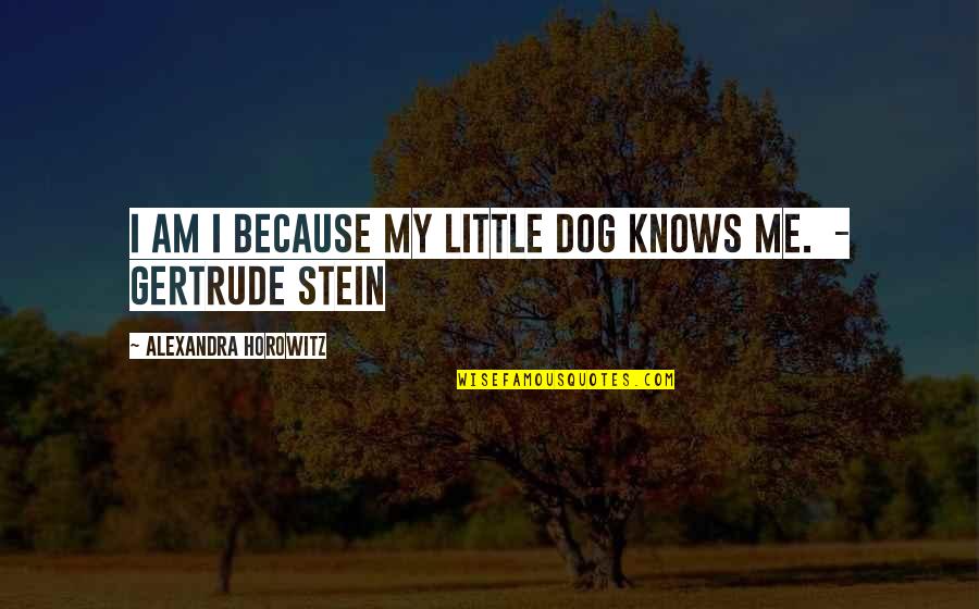 The Best Dog Ever Quotes By Alexandra Horowitz: I am I because my little dog knows