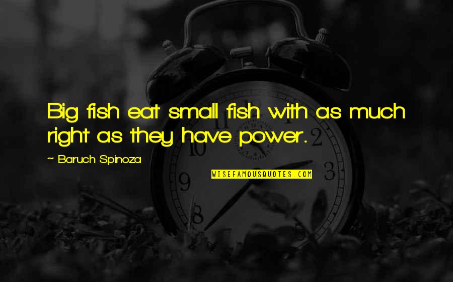 The Big Fish Quotes By Baruch Spinoza: Big fish eat small fish with as much