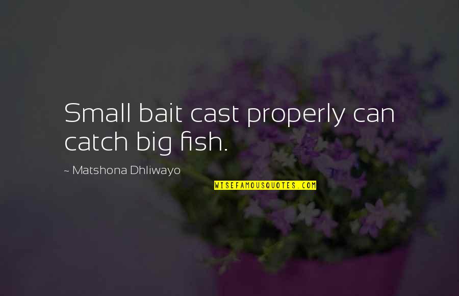 The Big Fish Quotes By Matshona Dhliwayo: Small bait cast properly can catch big fish.