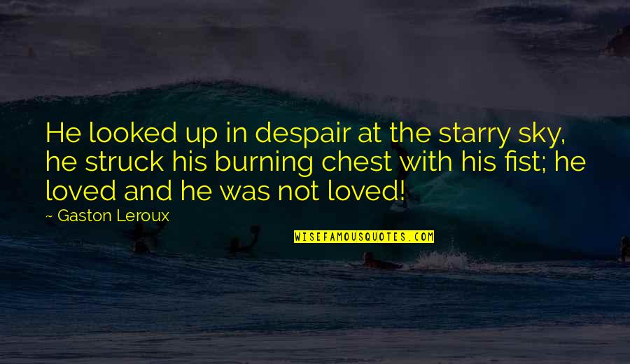 The Burning Quotes By Gaston Leroux: He looked up in despair at the starry