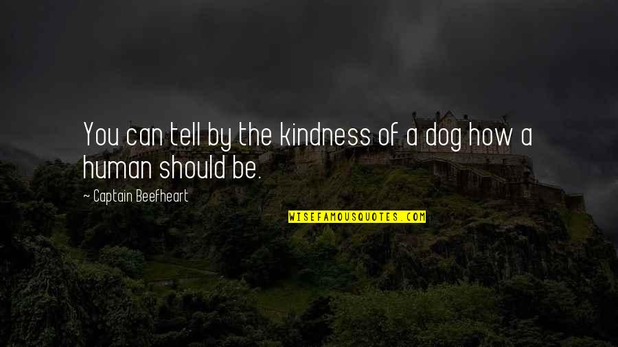 The Dog Quotes By Captain Beefheart: You can tell by the kindness of a