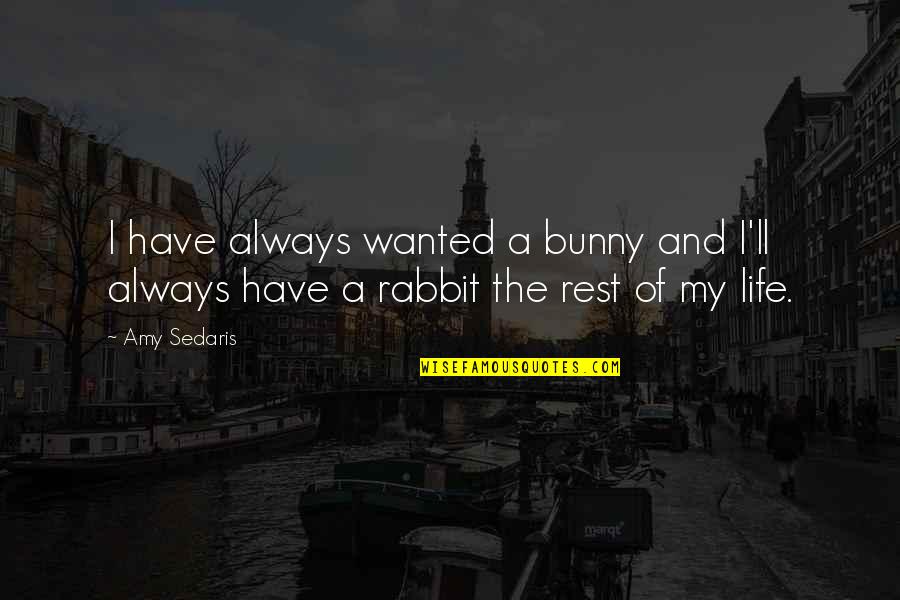 The Easter Bunny Quotes By Amy Sedaris: I have always wanted a bunny and I'll