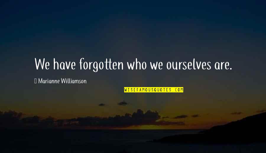 The Film 300 Quotes By Marianne Williamson: We have forgotten who we ourselves are.