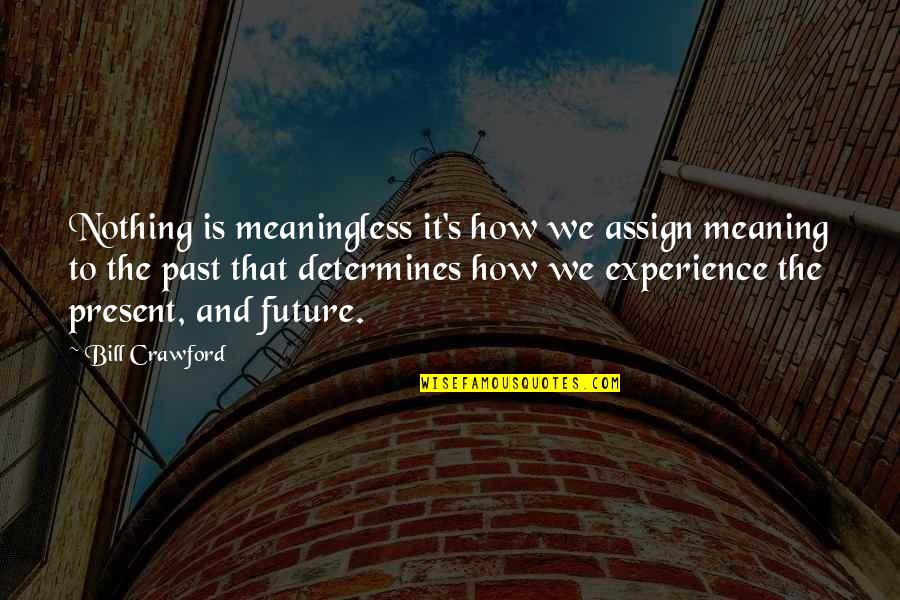 The Future And Present Quotes By Bill Crawford: Nothing is meaningless it's how we assign meaning