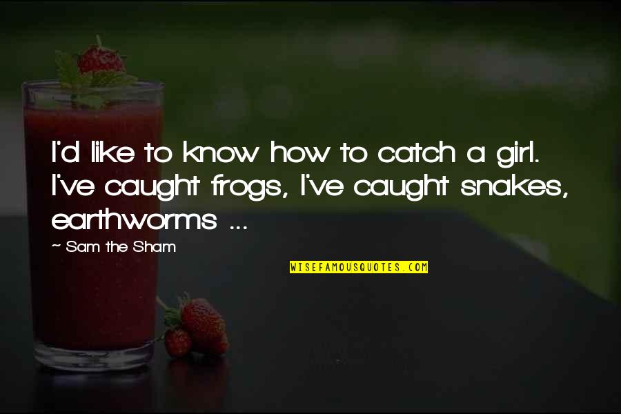 The Girl I Like Quotes By Sam The Sham: I'd like to know how to catch a