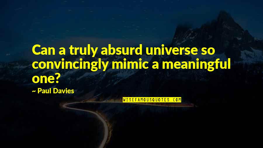 The Goddess Test Quotes By Paul Davies: Can a truly absurd universe so convincingly mimic
