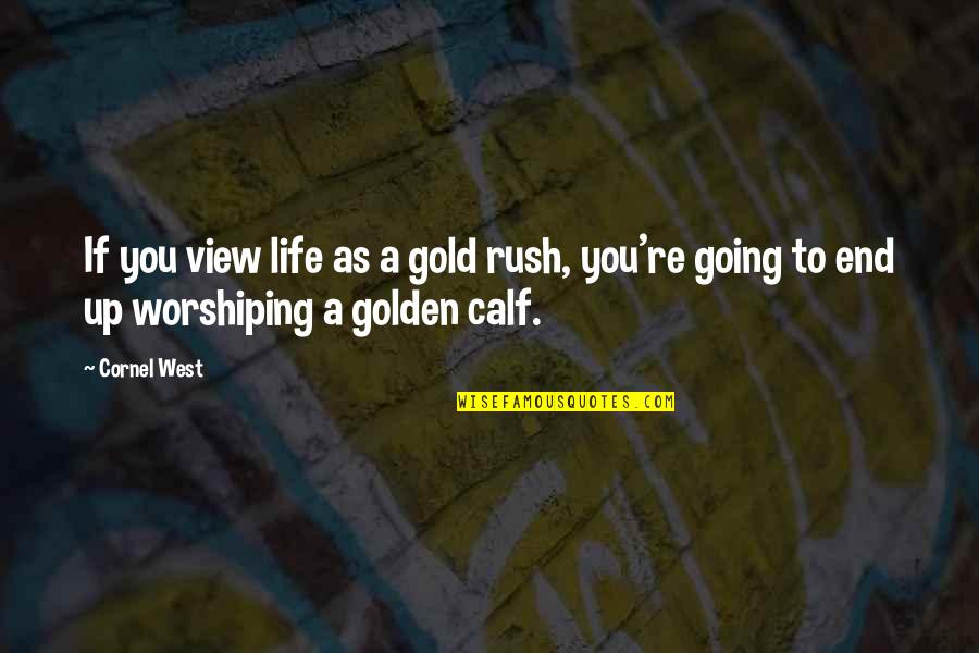 The Gold Rush Quotes By Cornel West: If you view life as a gold rush,