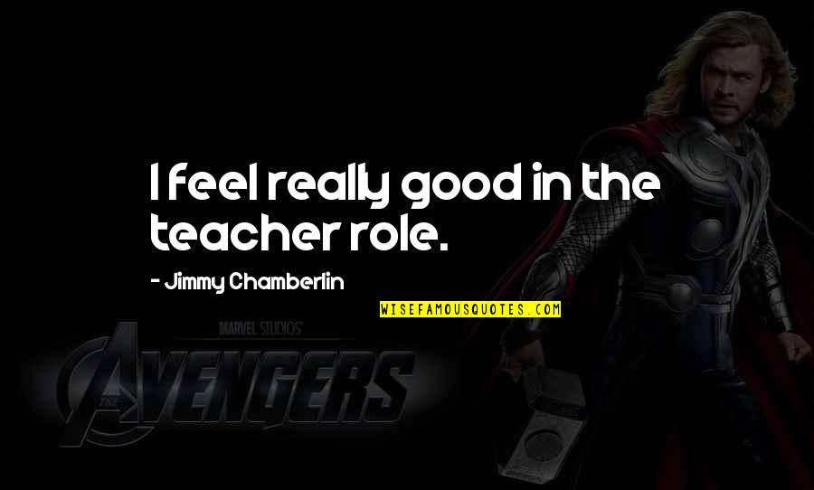 The Good Teacher Quotes By Jimmy Chamberlin: I feel really good in the teacher role.