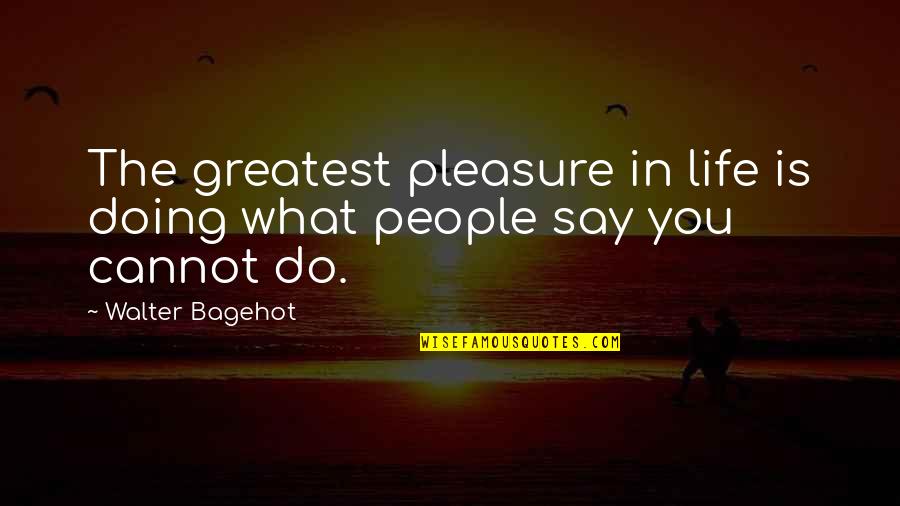 The Greatest Pleasure In Life Quotes By Walter Bagehot: The greatest pleasure in life is doing what