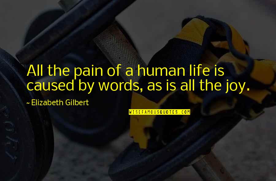 The Happiest Person Quotes By Elizabeth Gilbert: All the pain of a human life is