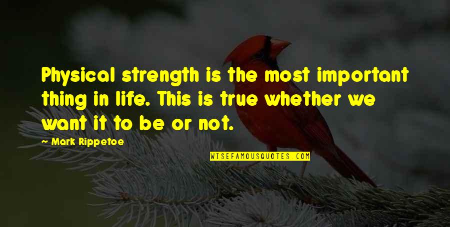 The Important Things In Life Quotes By Mark Rippetoe: Physical strength is the most important thing in