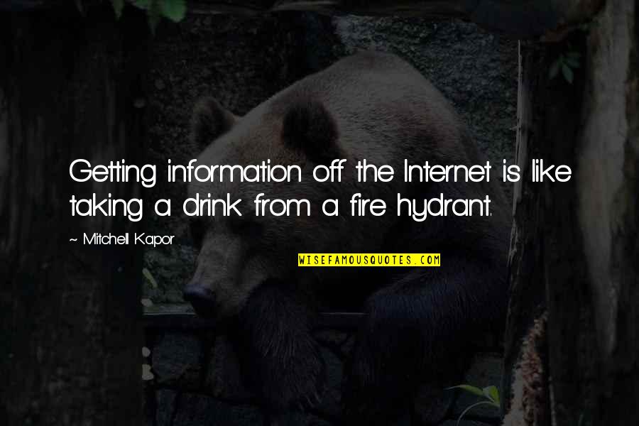 The Internet And Technology Quotes By Mitchell Kapor: Getting information off the Internet is like taking