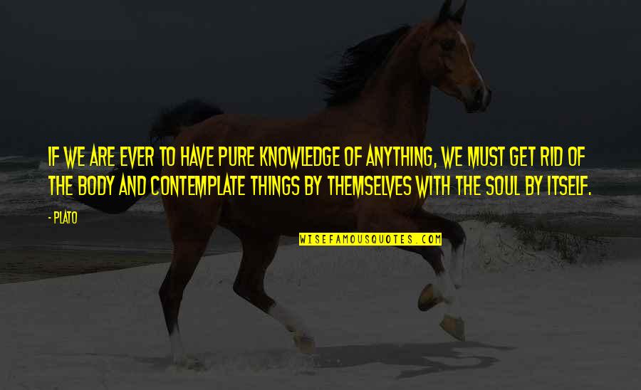 The Knowledge Quotes By Plato: If we are ever to have pure knowledge