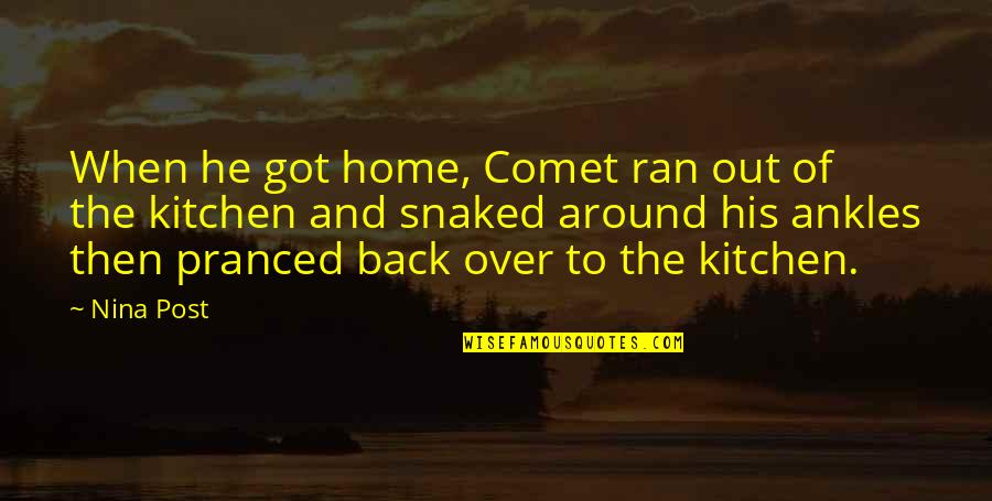 The Lightning Thief Chapter 1 Quotes By Nina Post: When he got home, Comet ran out of