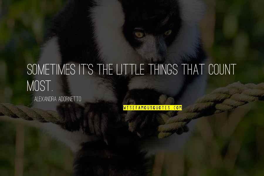 The Little Things That Count Quotes By Alexandra Adornetto: Sometimes it's the little things that count most.