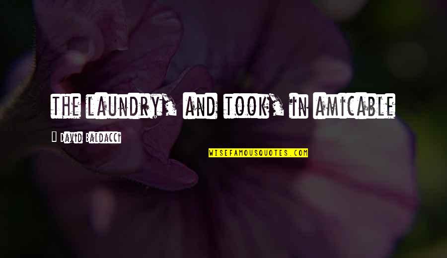 The Magdalene Sisters Quotes By David Baldacci: the laundry, and took, in amicable