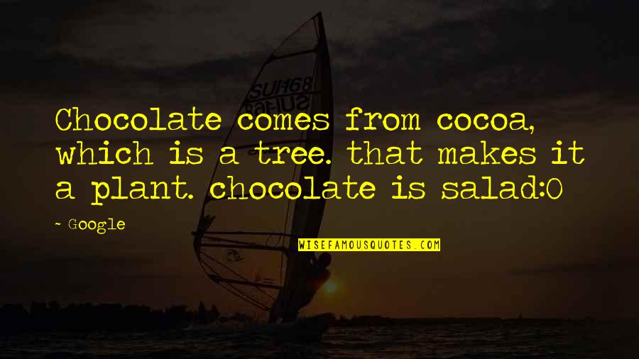 The Magic Thief Quotes By Google: Chocolate comes from cocoa, which is a tree.