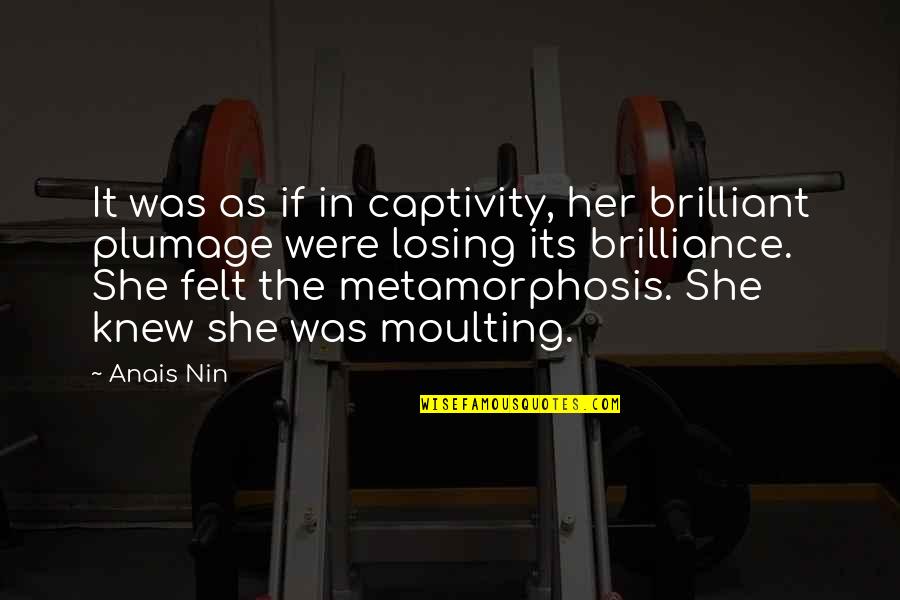 The Metamorphosis Quotes By Anais Nin: It was as if in captivity, her brilliant