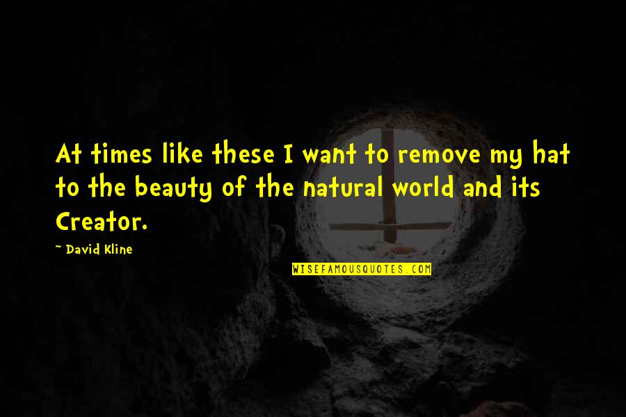 The Nature Of Beauty Quotes By David Kline: At times like these I want to remove