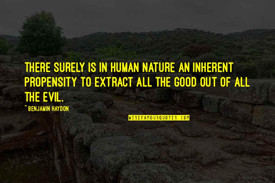 The Nature Of Good And Evil Quotes By Benjamin Haydon: There surely is in human nature an inherent