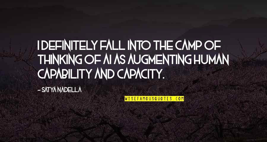 The Office Tuna Quotes By Satya Nadella: I definitely fall into the camp of thinking