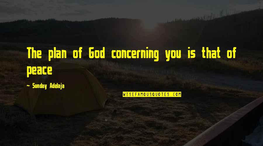 The Peace Of God Quotes By Sunday Adelaja: The plan of God concerning you is that