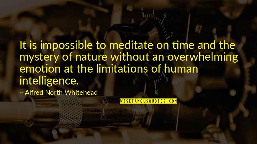 The Power Of Nature Quotes By Alfred North Whitehead: It is impossible to meditate on time and