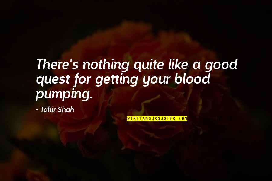 The Quest For Nothing Quotes By Tahir Shah: There's nothing quite like a good quest for