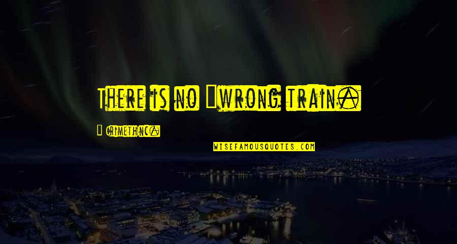 The Sea And Mermaids Quotes By CrimethInc.: There is no "wrong train.