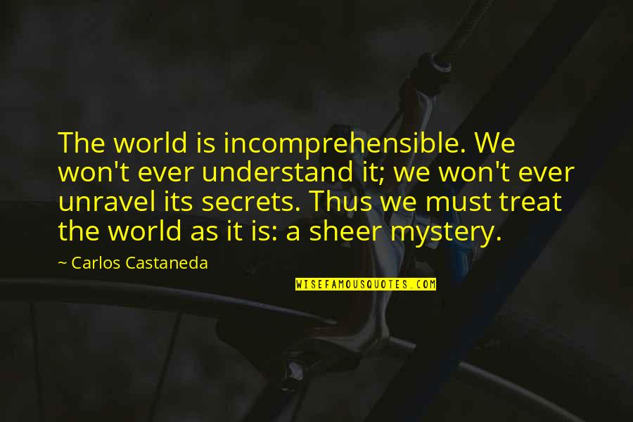 The Secrets Quotes By Carlos Castaneda: The world is incomprehensible. We won't ever understand