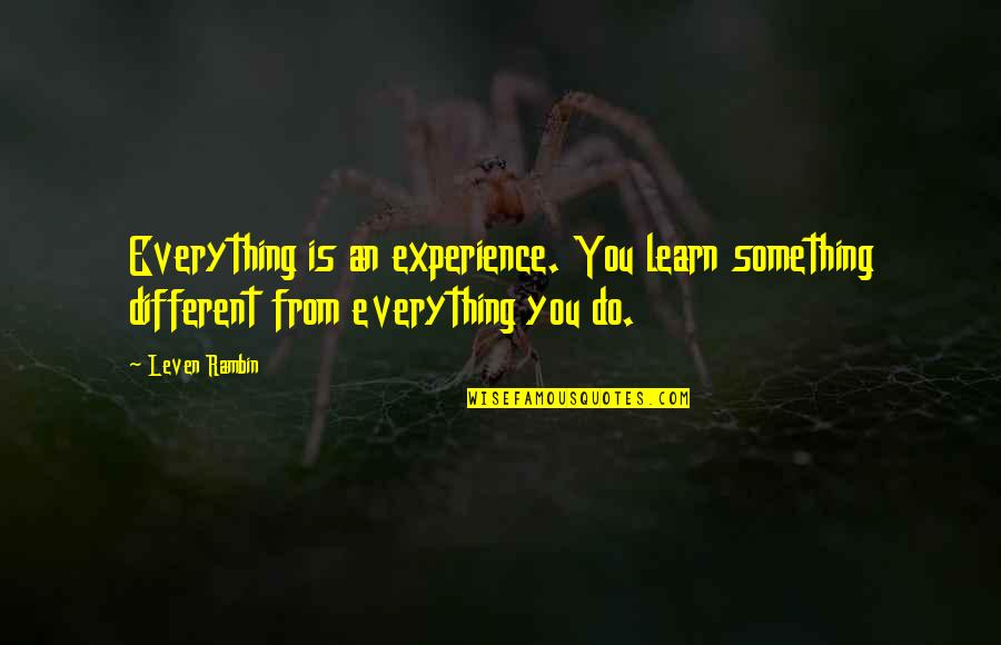 The Sorcerer's Stone Quotes By Leven Rambin: Everything is an experience. You learn something different