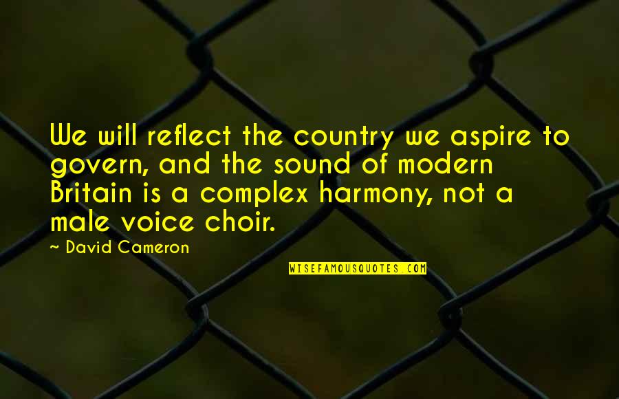 The Sound Of Your Voice Quotes By David Cameron: We will reflect the country we aspire to