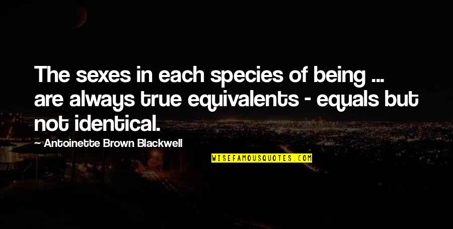 The Species Quotes By Antoinette Brown Blackwell: The sexes in each species of being ...