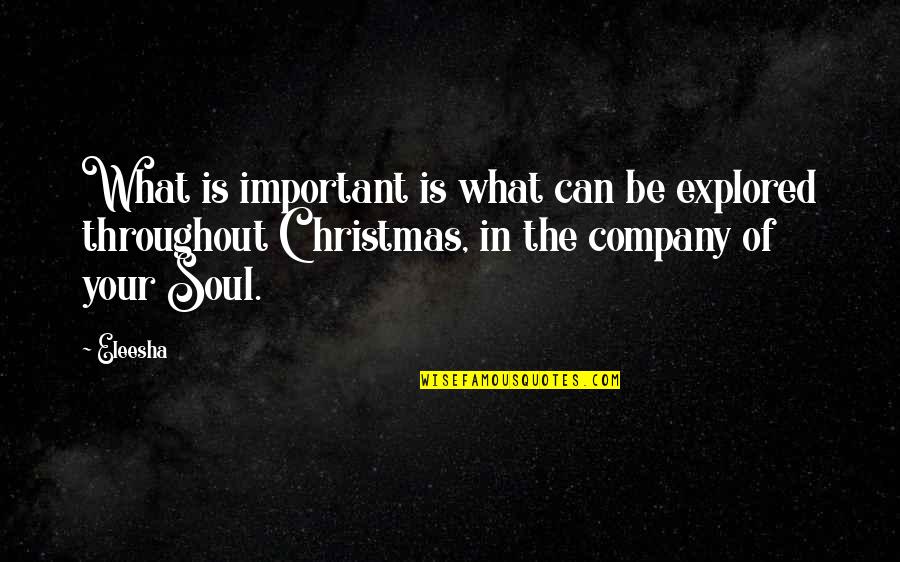 The Spirit Of Christmas Quotes By Eleesha: What is important is what can be explored