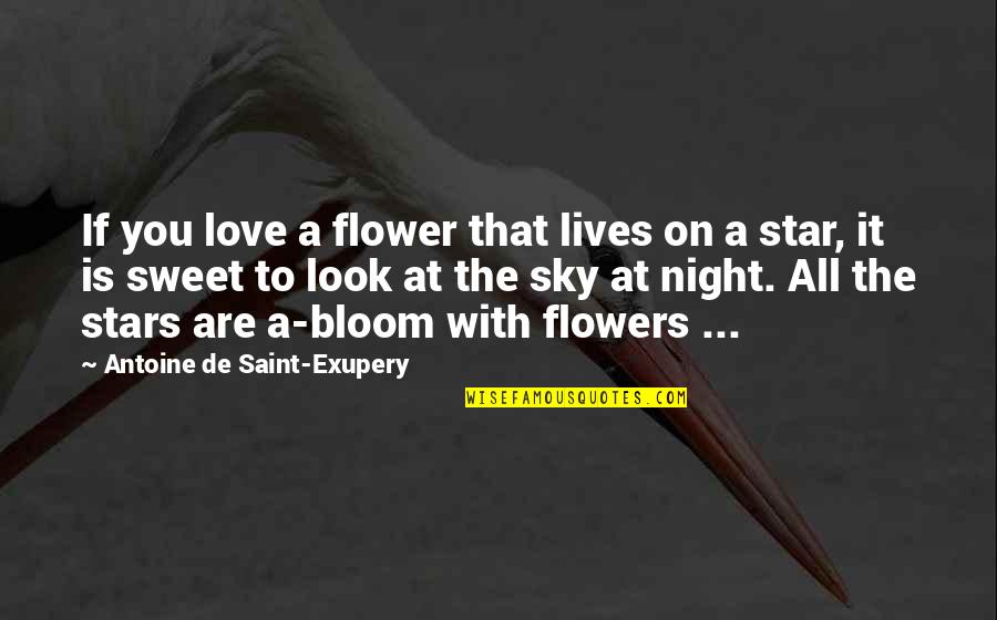 The Stars At Night Quotes By Antoine De Saint-Exupery: If you love a flower that lives on