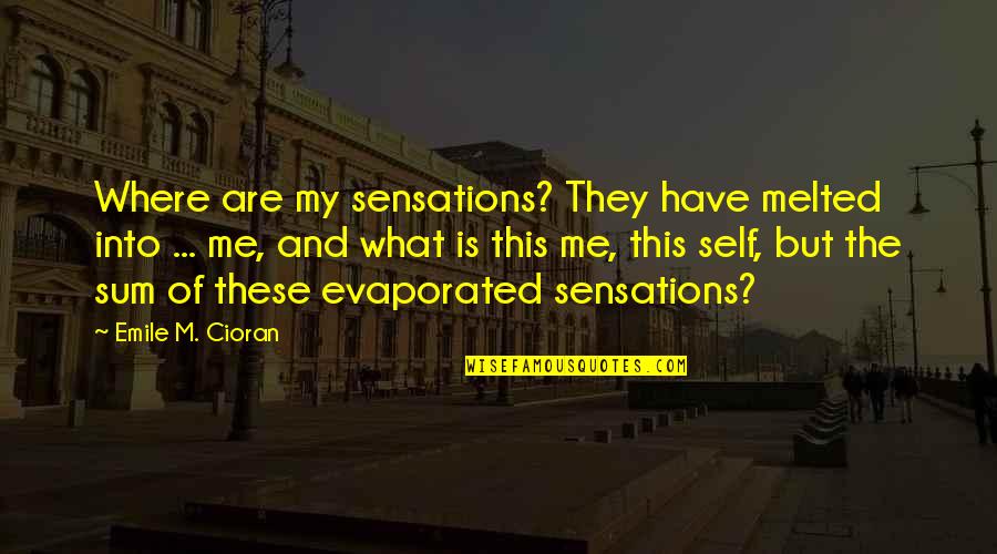 The Stranger Netflix Quotes By Emile M. Cioran: Where are my sensations? They have melted into