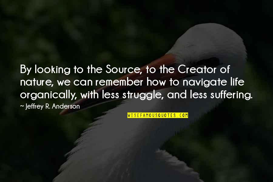 The Struggle Of Life Quotes By Jeffrey R. Anderson: By looking to the Source, to the Creator