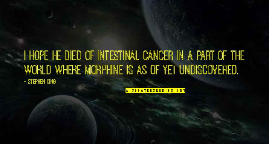 The Undiscovered Quotes By Stephen King: I hope he died of intestinal cancer in