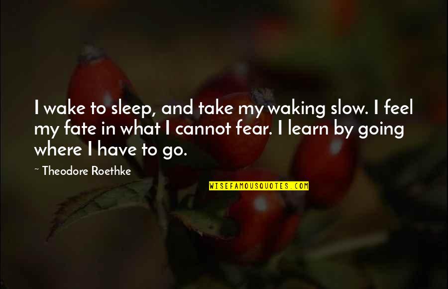 Theodore's Quotes By Theodore Roethke: I wake to sleep, and take my waking