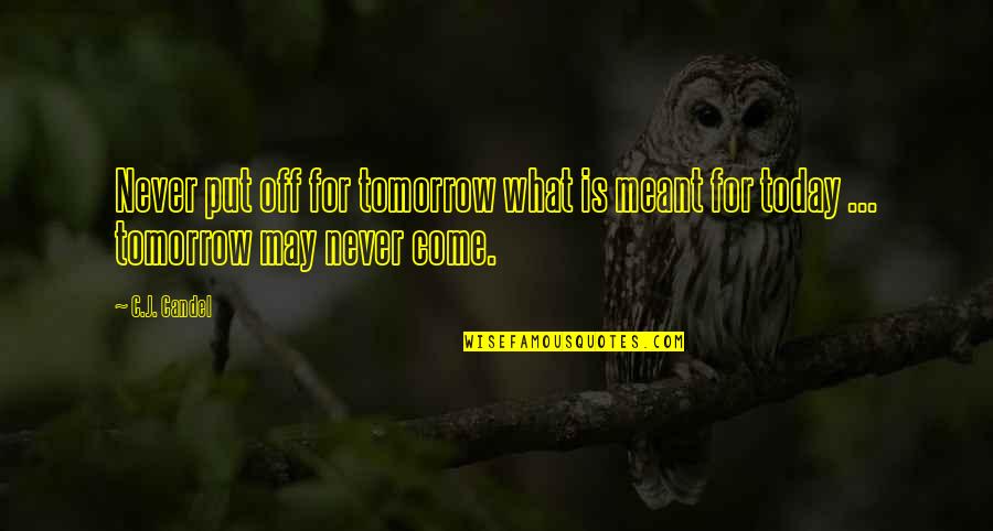 Theperksofbeingawallflower Quotes By C.J. Candel: Never put off for tomorrow what is meant