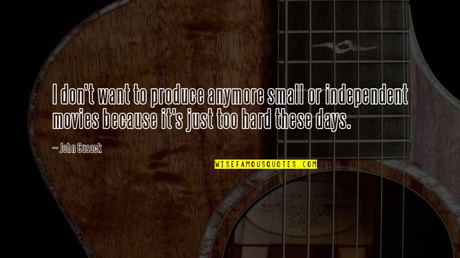 There Are Some Days Quotes By John Cusack: I don't want to produce anymore small or