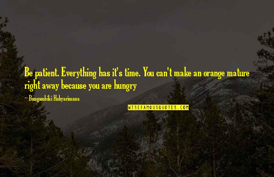 There Is A Right Time For Everything Quotes By Bangambiki Habyarimana: Be patient. Everything has it's time. You can't