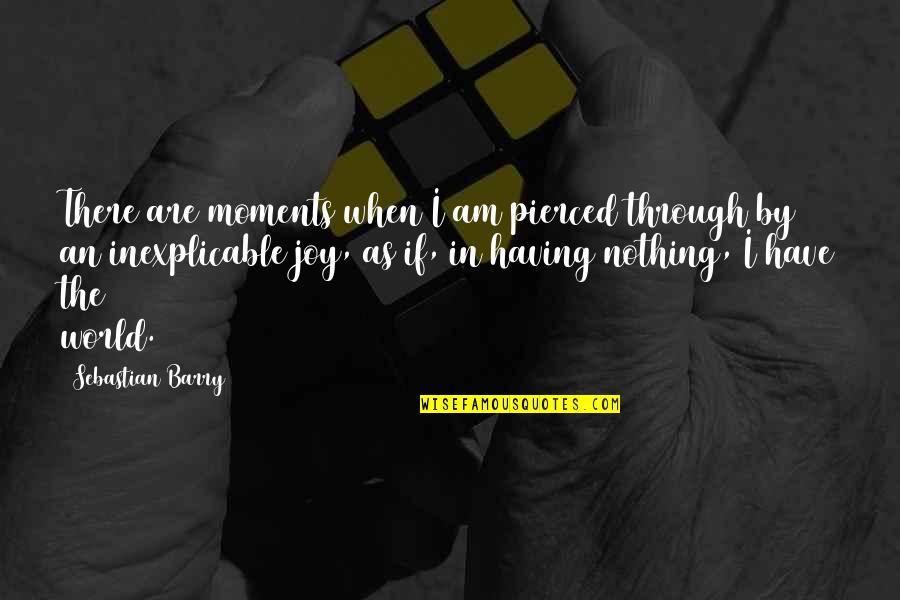 Thermoflex Quotes By Sebastian Barry: There are moments when I am pierced through