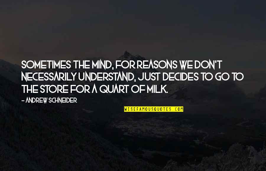 They Don't Understand You Quotes By Andrew Schneider: Sometimes the mind, for reasons we don't necessarily