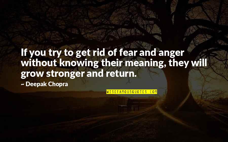 They Fear You Quotes By Deepak Chopra: If you try to get rid of fear