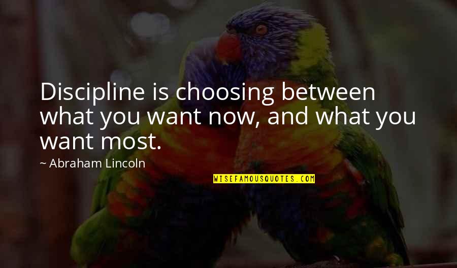 Thiantoangiaothong Quotes By Abraham Lincoln: Discipline is choosing between what you want now,