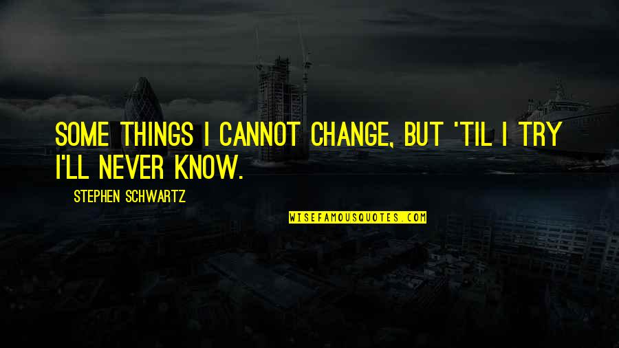 Things That Change Us Quotes By Stephen Schwartz: Some things I cannot change, but 'til I